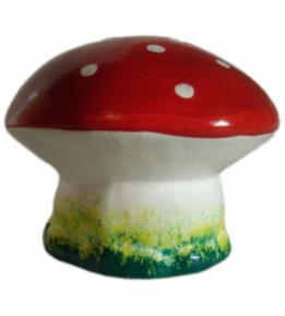 Kleine paddenstoel vliegenzwam