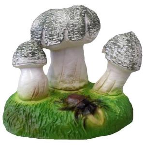 Paddenstoelen met kever